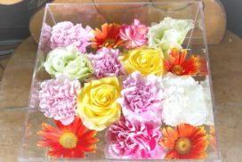 ガーベラやカーネーションなど、ケースに収められた色とりどりの花々
