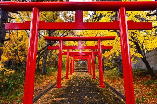 秋の紅葉の中の神社の鳥居。