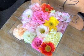 ペットに手向けるガーベラなどのお別れ生花。