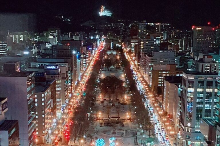 札幌市の夜景。