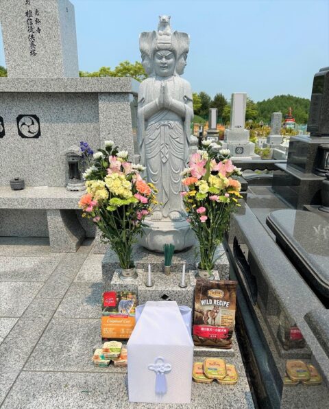 ペットの合葬墓にお供えされているキャットフードとドッグフードと花束。