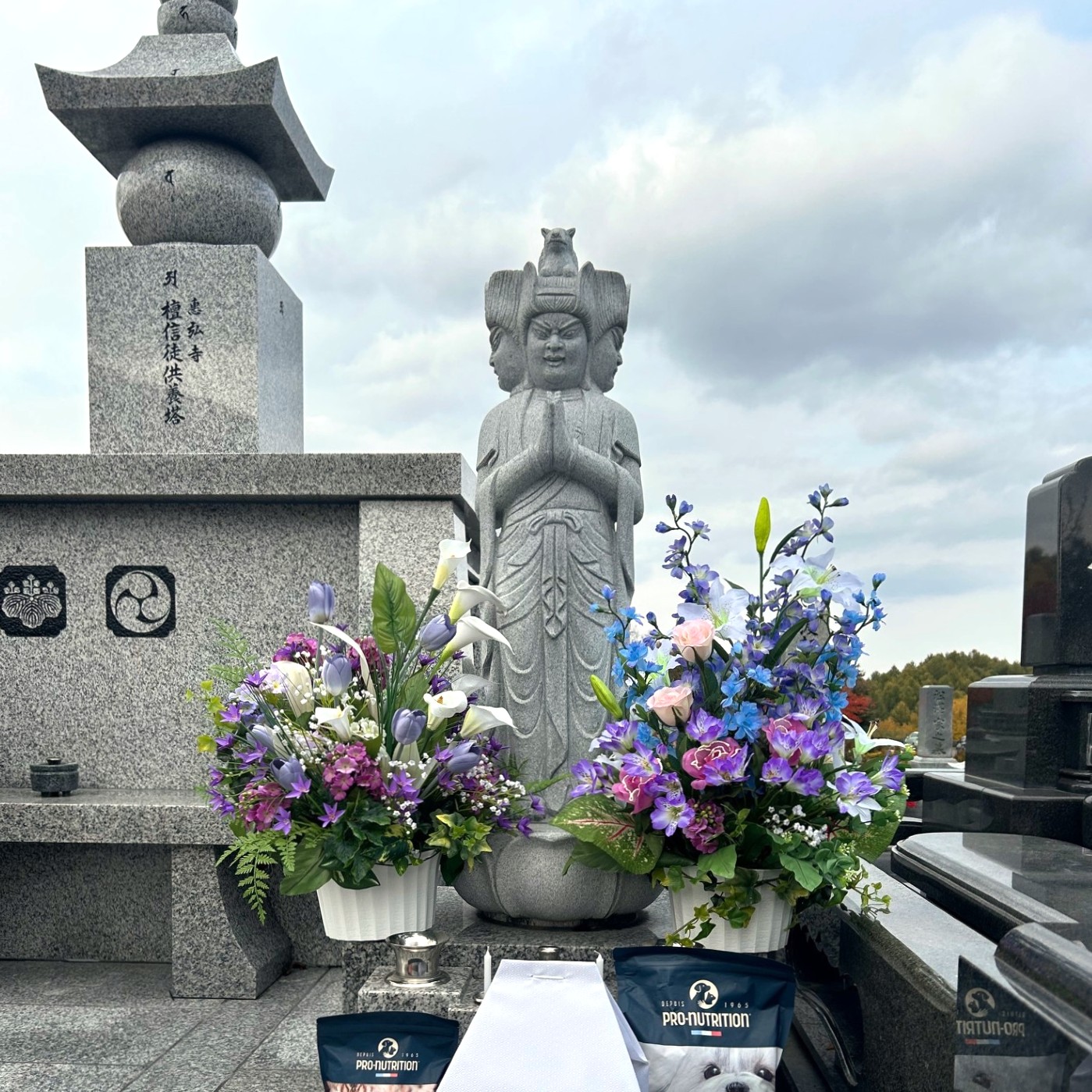 ペットの墓とお供え物のペットフード